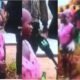 This Video Shows A Woman Drinking Bottles Of Beer After An Accident On The Tema Motorway (Watch)