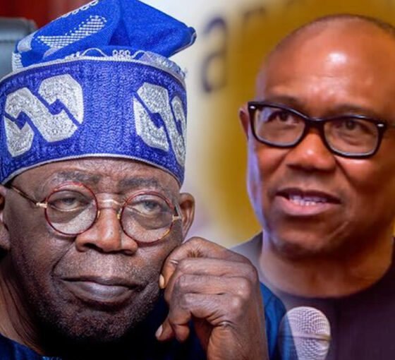 Peter Obi Hails Tinubu's Move to Cut Presidential Travel Expenses by 60%